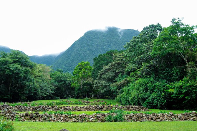 Day Trip to Anton Valley - An In-Depth Look at the Anton Valley Day Trip