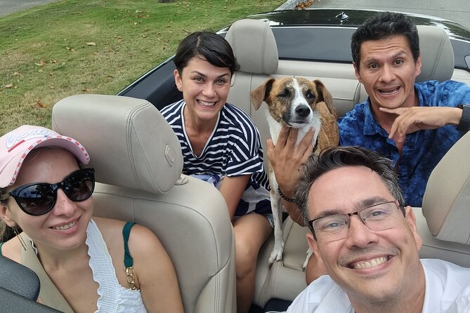 VIP Private Tour in a BMW Convertible, feel like a Movie Star!! - An In-Depth Look at the Experience