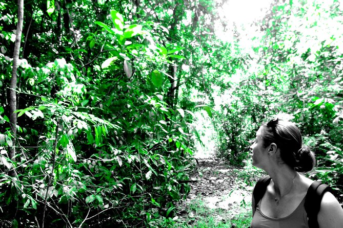 Canal expansion Agua Clara, Rainforest safari & San Lorenzo Fort - Who Should Consider This Tour?