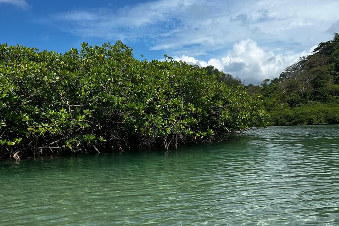 4 in 1 Caribbean Portobelo Blue Veins Black Christ and Ruins - An In-Depth Look at the Tour Experience