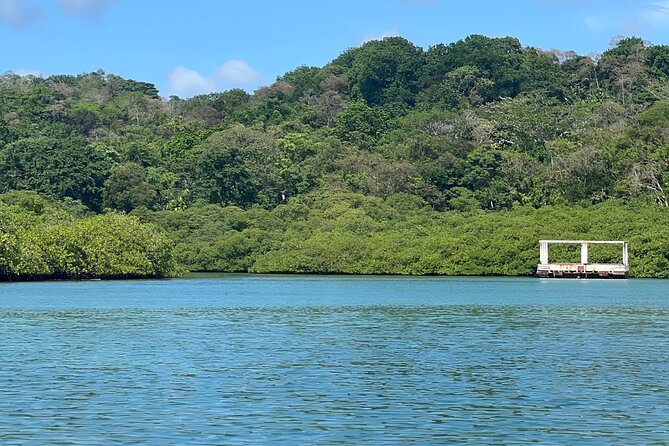 4 in 1 Caribbean Portobelo Blue Veins Black Christ and Ruins - Final Thoughts