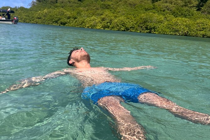 4 in 1 Caribbean Portobelo Blue Veins Black Christ and Ruins - Key Points