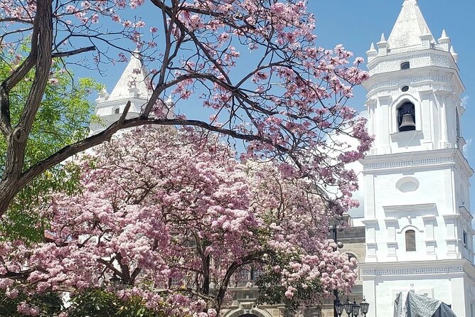 Stopover Tour in Panama: City and Canal - Final Thoughts