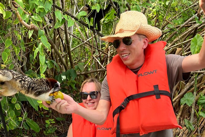 Wildlife Boat Tour in the Panama Canal Lake - The Sum Up