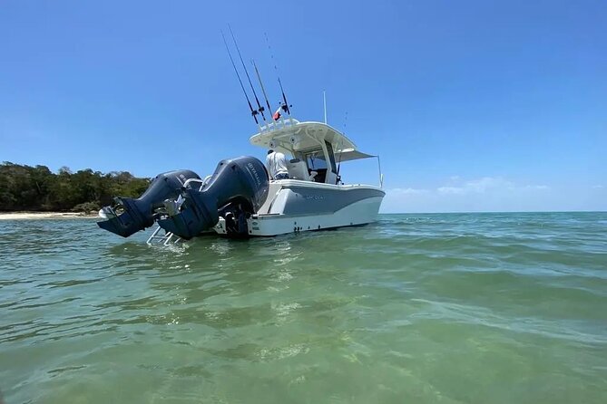 Private Full Day Boat Trip to Las Perlas and Contadora - Final Thoughts