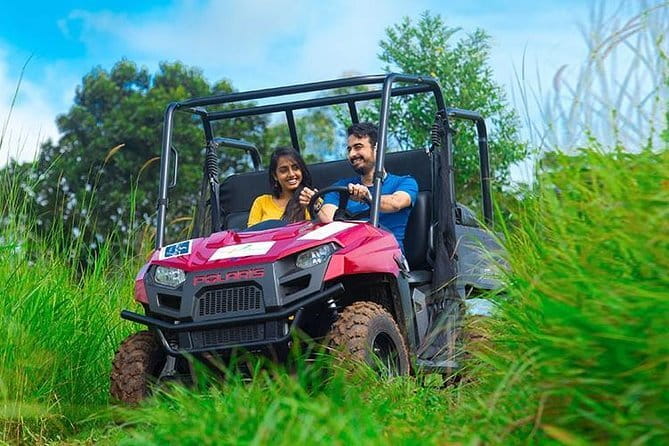 Treehouse stay in munnar - Good To Know