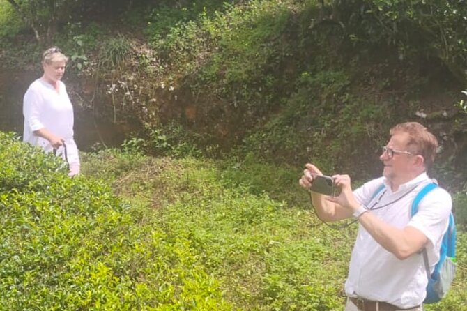 From Kochi: Day Tour to Munnar with Tea Garden and Waterfalls - Key Points