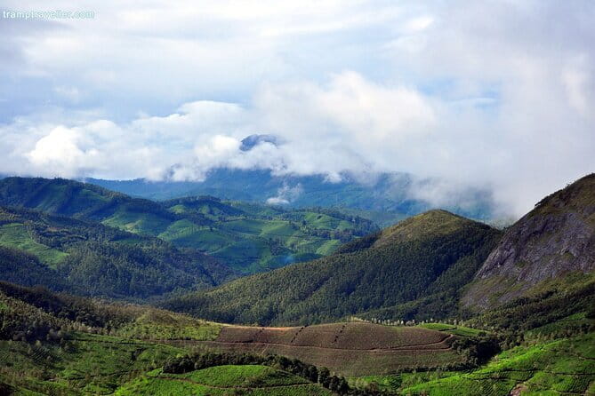 Serene Munnar Retreat: Private Tour from Kochi to the Munnar Hill - An In-Depth Look at What the Tour Offers