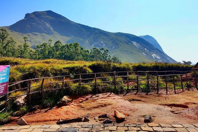 Serene Munnar Retreat: Private Tour from Kochi to the Munnar Hill - The Practicalities: What’s Included and What’s Not