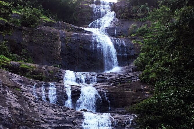 Serene Munnar Retreat: Private Tour from Kochi to the Munnar Hill - Final Thoughts: Is This Tour Worth It?