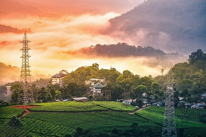 Serene Munnar Retreat: Private Tour from Kochi to the Munnar Hill - Who Should Book This Tour?