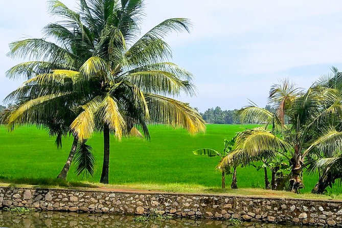 Private Tour to Kochi Suburbs Virgin Hot Spots: Free Pick & Drop - Real Value and Practical Tips