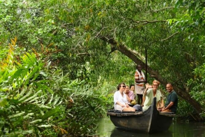 Backwater Tour from Cochin - A Closer Look at the Experience