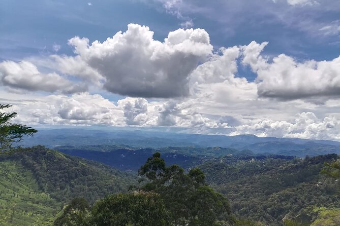 Green Magic One Night Two Days Trip to Munnar - Who Would Love This Tour?