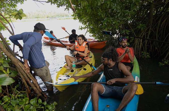 Kayaking in Kochi Guided Backwater and Mangrove Experience - Final Thoughts