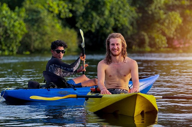 Kayaking in Kochi Guided Backwater and Mangrove Experience - Practical Details to Know