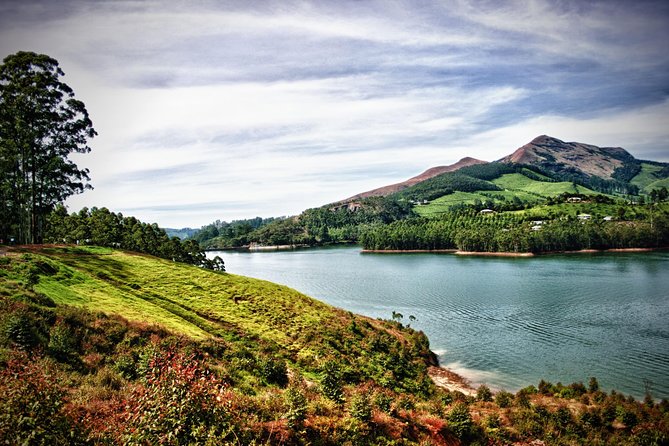 Affordable transfer from Kochi to Munnar - A Closer Look at the Kochi to Munnar Experience