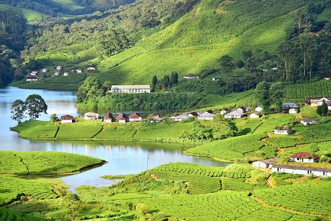 Affordable transfer from Kochi to Munnar - Final Thoughts