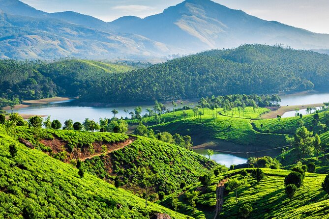 Affordable transfer from Kochi to Munnar - Who Should Consider This Transfer?