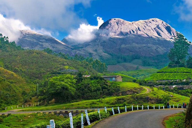 Affordable transfer from Kochi to Munnar - The Essential Kochi to Munnar Transfer: Practical, Comfortable, and Authentic