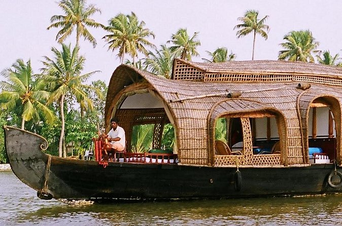 Kochi Private Tour: Overnight Alleppey Backwaters Houseboat Cruise - Final Thoughts: Who Should Consider This Experience