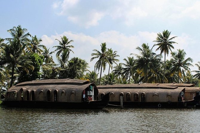 Kochi Private Tour: Kerala Backwater Houseboat Day Cruise in Aleppey - The Sum Up: Who Should Book This Tour?