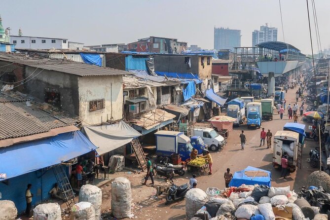 Dharavi Slum Tour with Home Visit Group Cruise Excursion - Who Should Consider This Tour?