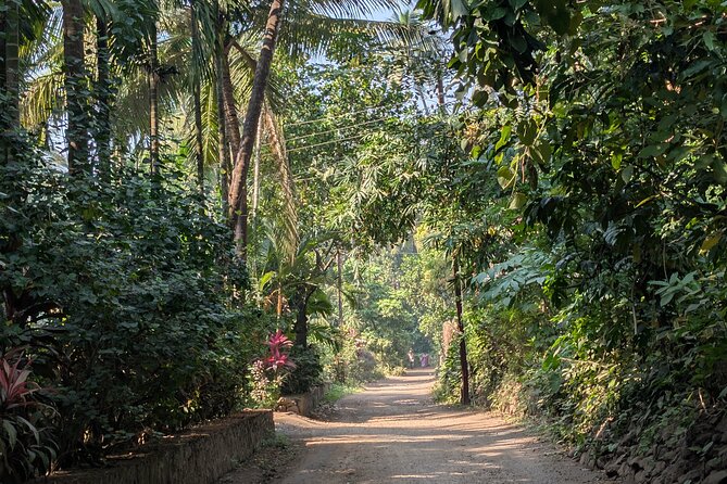 All-Inclusive Mumbai to Alibaug Coastal Villages RoPax Ferry Tour - Final Thoughts