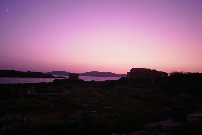 Half-Day Delos Tour from Mykonos - Who Is This Tour Best For?