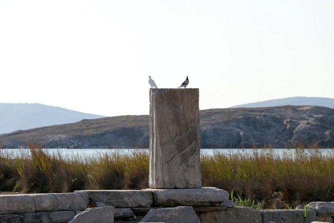 Half-Day Delos Tour from Mykonos - Frequently Asked Questions