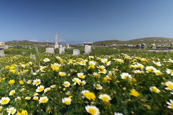 Half-Day Delos Tour from Mykonos - Practical Details That Matter