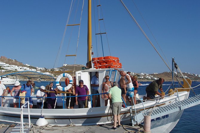 South Coast Cruise - What to Expect During the Day