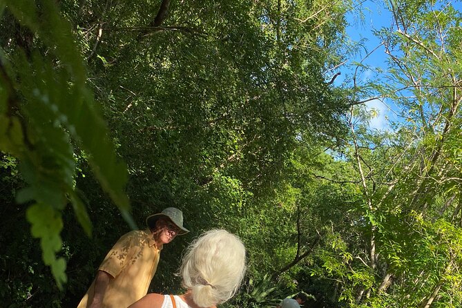 Half Day Electric Bike Tour In North Caicos - Frequently Asked Questions