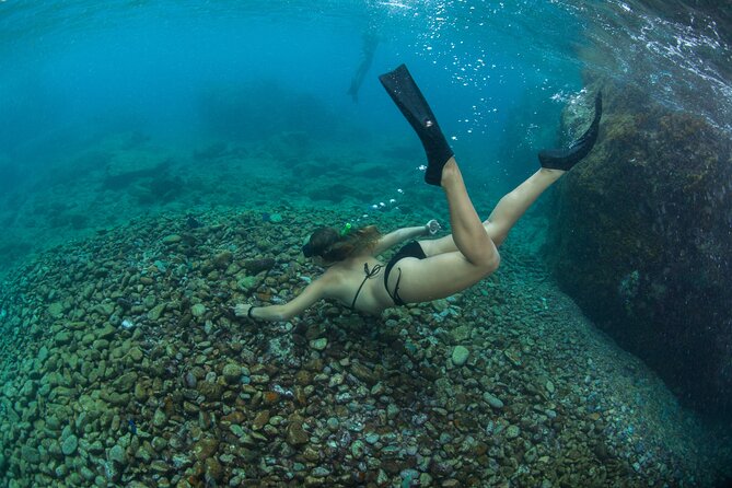 PiZZA Pi Snorkel Sail from Frenchman's Reef - FAQ