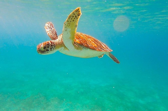 Full-Day Sailing Tour in Virgin Islands National Park - FAQ