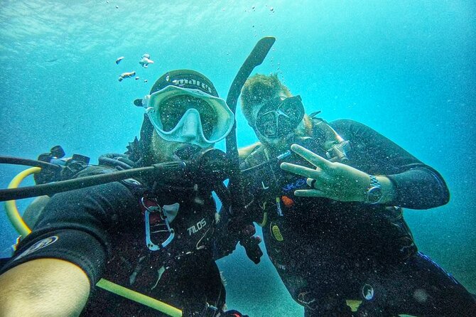 Island Wreck and Reef Scuba Excursion - Pricing and Value