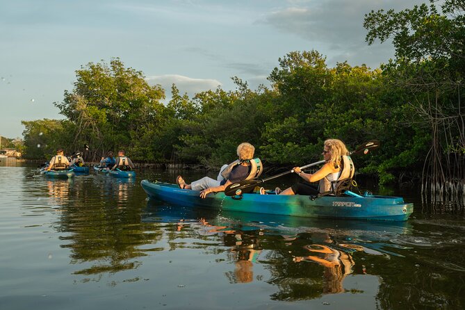 Sunset Kayak Tour in the Mangrove Lagoon, St Thomas - In-Depth Review of the Sunset Kayak Tour