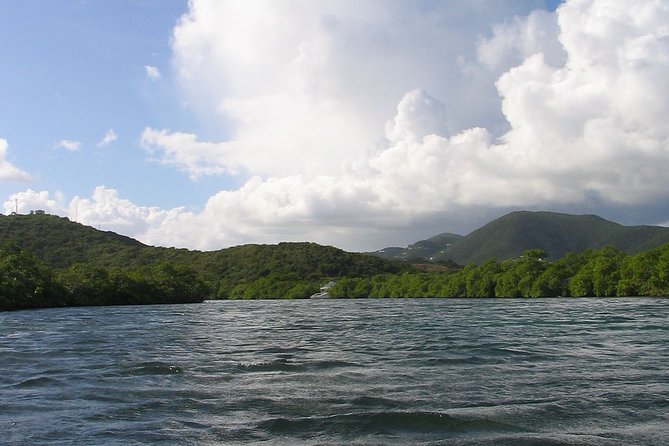 Stand Up Paddleboard Rental in St Thomas - Authentic Experiences from Other Paddlers