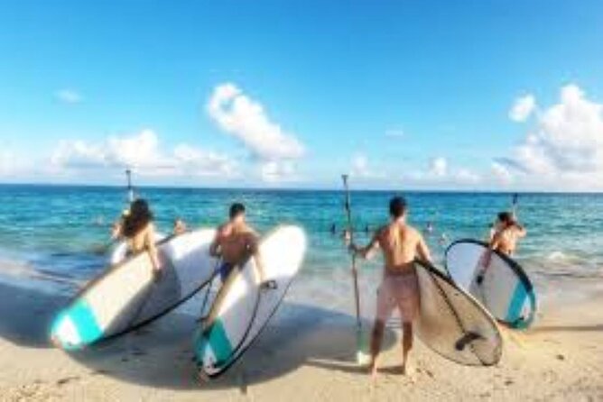Guided Stand Up Paddleboard Tour from Elysian - Why This SUP Tour Offers Great Value