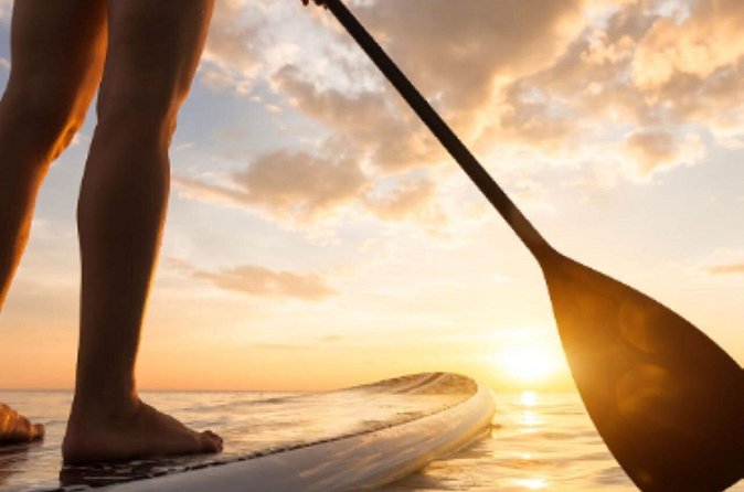 Guided Stand Up Paddleboard Tour from Elysian - Who Will Love This Tour?