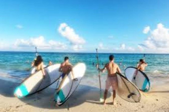 Guided Stand Up Paddleboard Tour from Elysian - FAQs