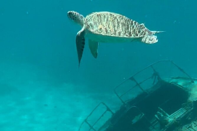 Sail and Snorkel Private Charter - Mid-Day Sail 1230pm to Sunset - What Makes the Experience Stand Out