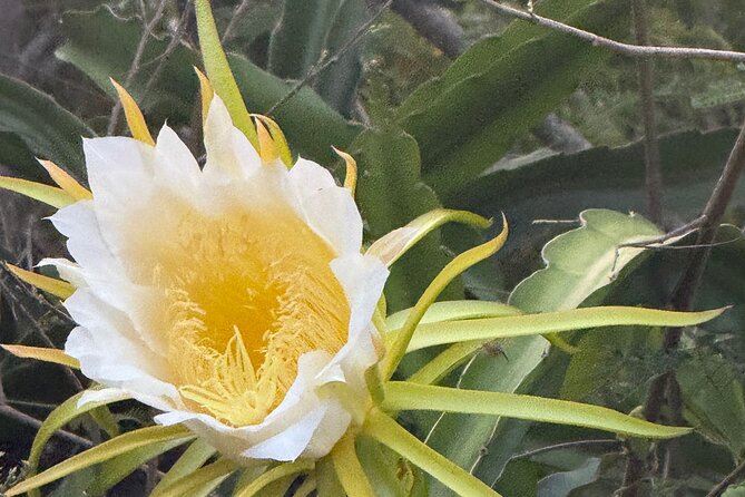 Magens Bay Nature Walk & premium hands-free Hobie Kayak Adventure - Frequently Asked Questions (FAQs)