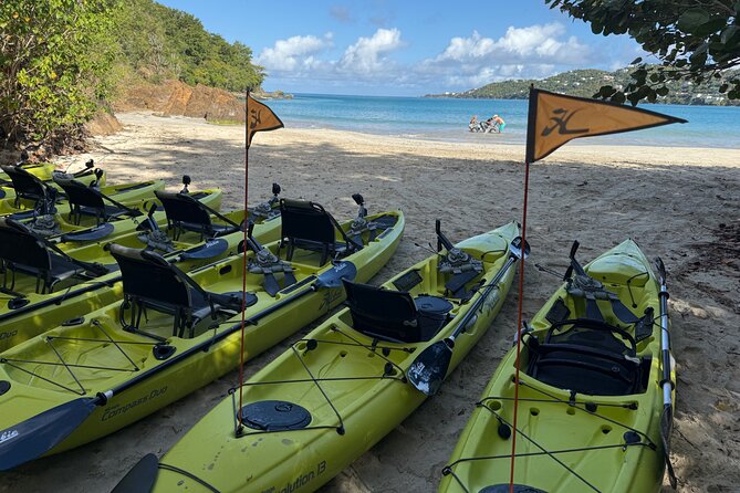 Magens Bay Nature Walk & premium hands-free Hobie Kayak Adventure - Exploring Magens Bay: An Authentic Caribbean Experience