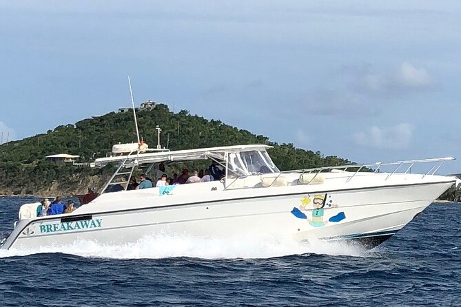 Half Day Snorkeling Tour from Margaritaville - Possible Considerations or Drawbacks