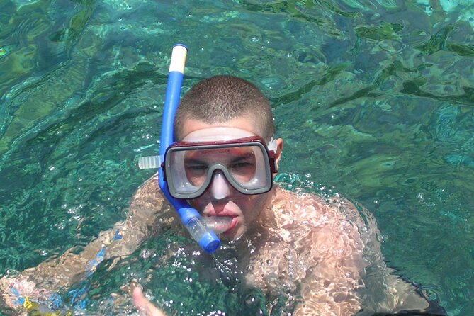 Half Day Snorkeling Tour from Margaritaville - Who Will Love This Tour?