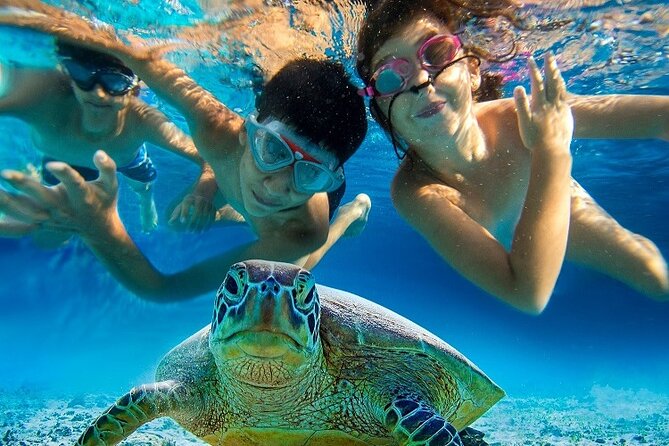 Half Day Snorkeling Tour from Margaritaville - The Value of the Tour