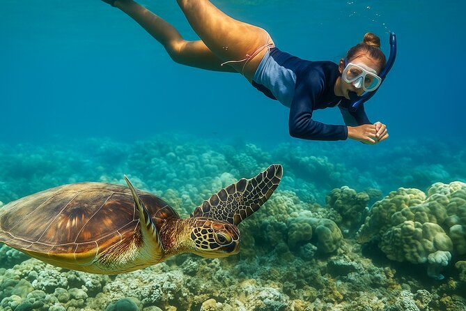 Snorkel and Sunset Cruise from Margaritaville Resort - An In-Depth Look at the Snorkel and Sunset Cruise