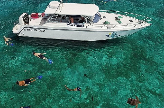Snorkel St. John Tour from Sapphire and Margaritaville - Final Thoughts: Is This Tour Right for You?