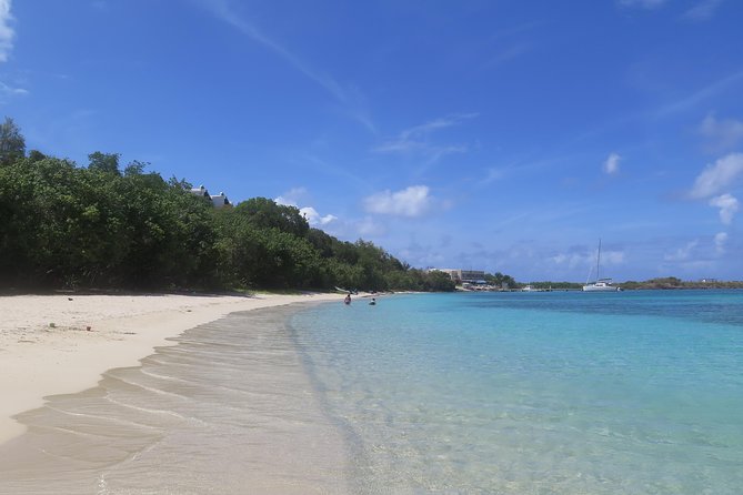 Small Group Sea Turtle Tour (Guaranteed to see turtles) - FAQ